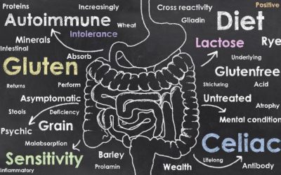 Is Your Autoimmunity Caused By Leaky Gut?